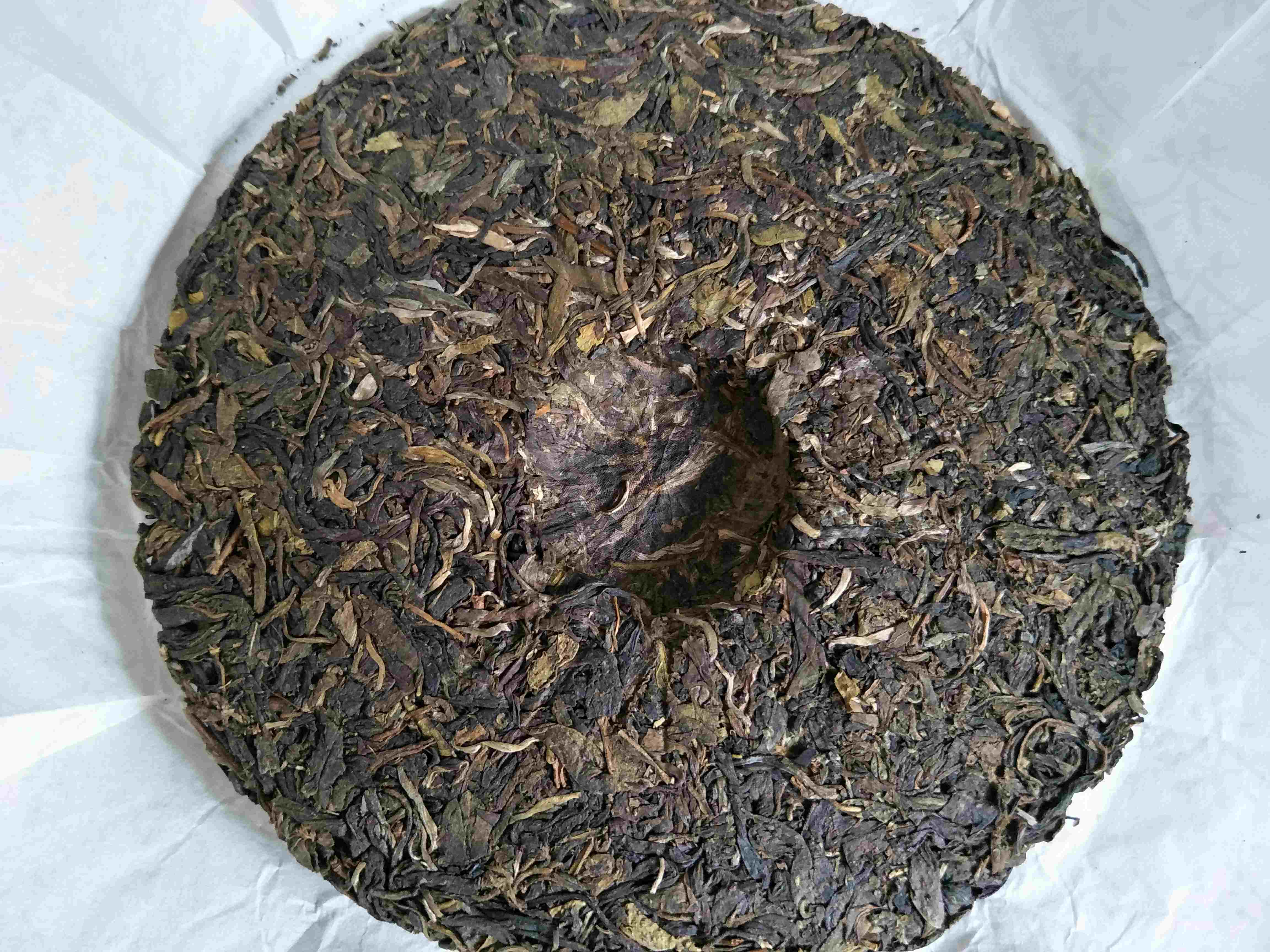 老茶树普洱有什么特点_老树茶 <a href=http://www.pinchajie.cn target=_blank class=infotextkey>普洱茶</a>_老树茶普洱生茶价格