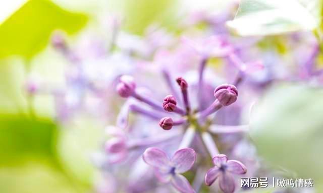 伯爵<a href=http://www.pinchajie.cn target=_blank class=infotextkey>红茶</a>拿铁是咖啡吗_伯爵<a href=http://www.pinchajie.cn target=_blank class=infotextkey>红茶</a>拿铁星巴克_伯爵<a href=http://www.pinchajie.cn target=_blank class=infotextkey>红茶</a>拿铁