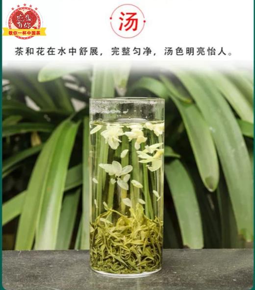 茉莉碧潭飘雪是什么茶_茉莉<a href=http://www.pinchajie.cn target=_blank class=infotextkey>花茶</a>飘雪_碧潭飘雪是茉莉<a href=http://www.pinchajie.cn target=_blank class=infotextkey>花茶</a>吗