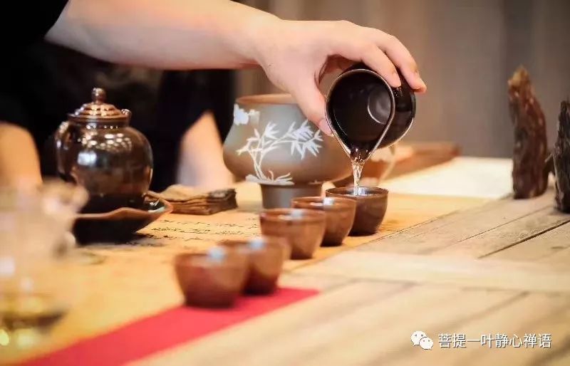 入门茶道基本知识_茶道入门_茶道入门茶