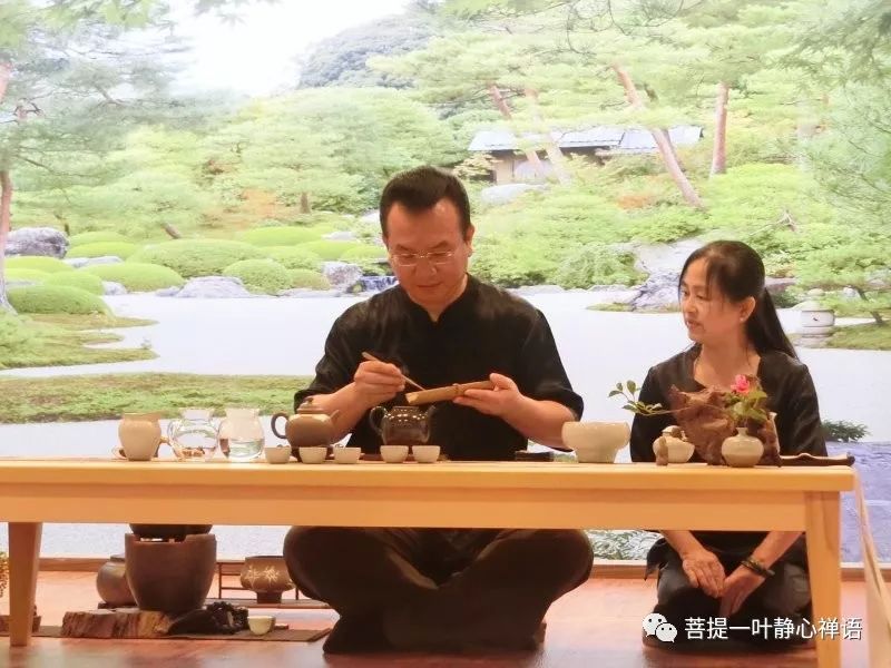 入门茶道基本知识_茶道入门_茶道入门茶