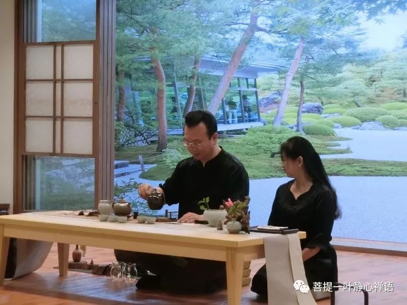 茶道入门_入门茶道基本知识_茶道入门茶