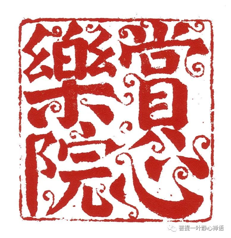 茶道入门茶_入门茶道基本知识_茶道入门