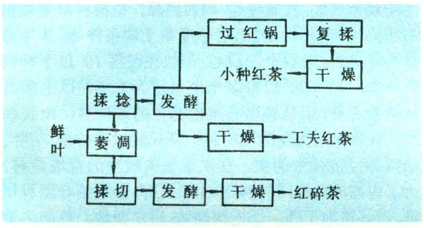 对<a href=http://www.pinchajie.cn target=_blank class=infotextkey>红茶</a>的了解_对<a href=http://www.pinchajie.cn target=_blank class=infotextkey>红茶</a>的了解_对<a href=http://www.pinchajie.cn target=_blank class=infotextkey>红茶</a>的了解